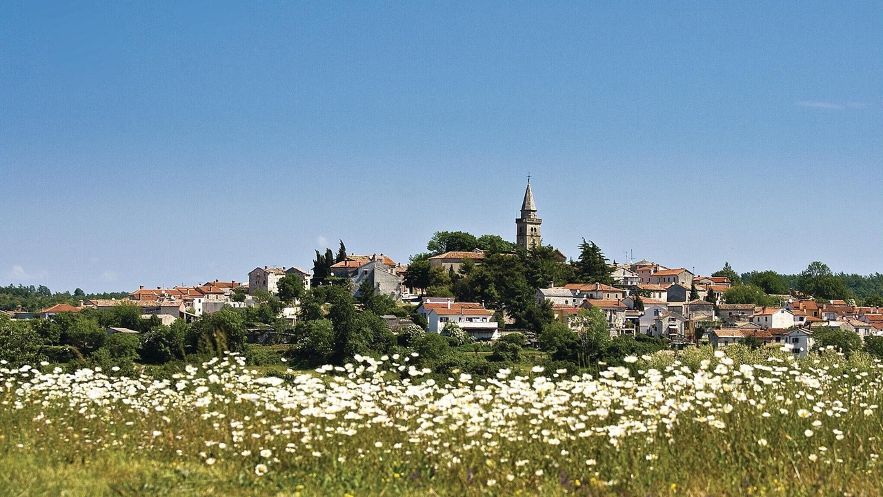 Photo of Others in Municipality of Zminj
