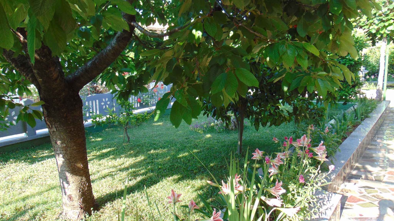 Photo of Outdoor in Rovinj