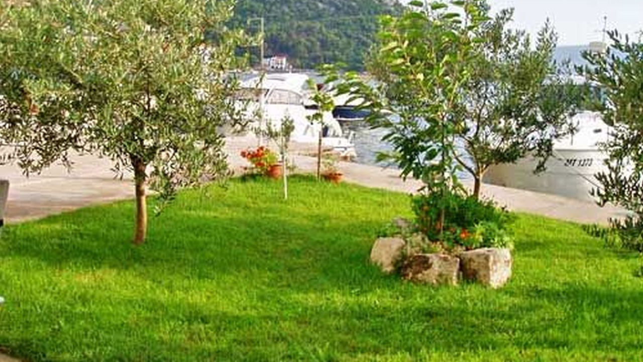 Photo of Outdoor in Blace