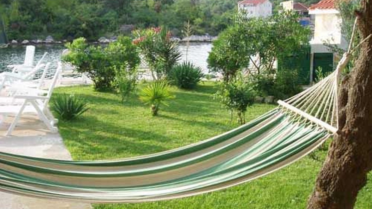 Photo of Outdoor in Blace