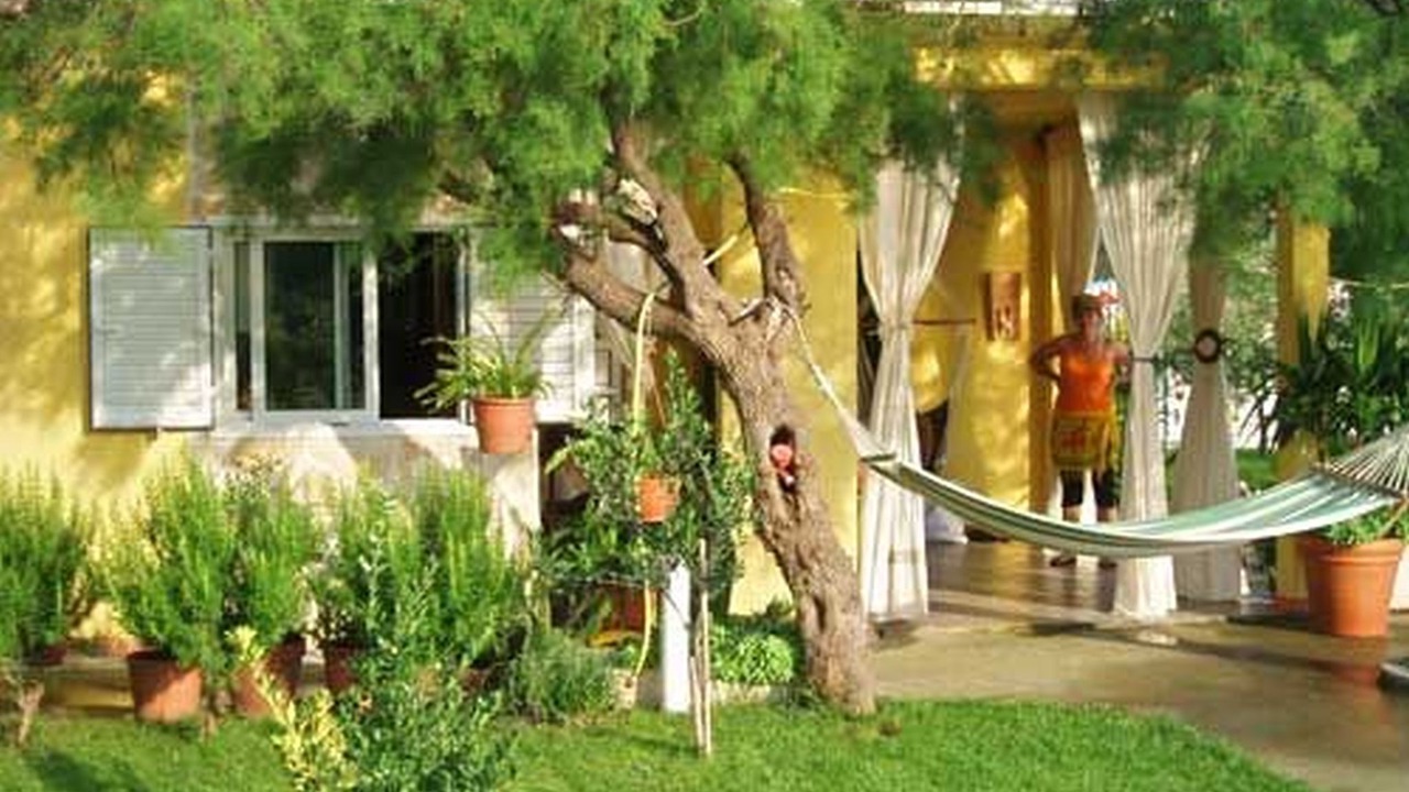 Photo of Outdoor in Blace