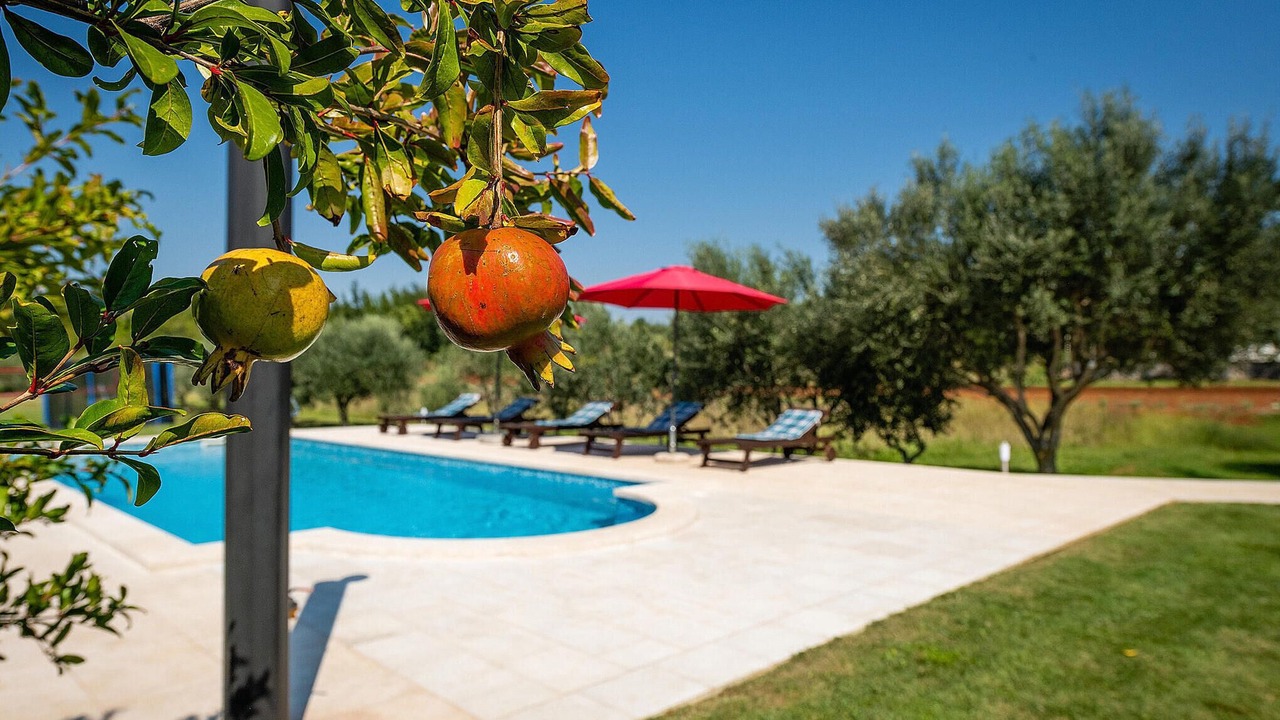 Photo of Outdoor in Orihi
