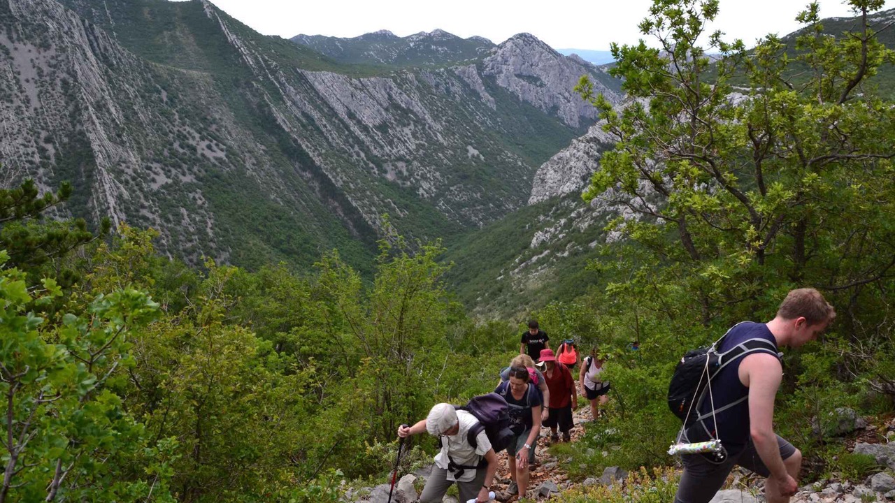 Photo of Others in Starigrad