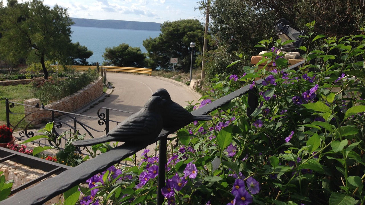 Photo of Outdoor in Igrane