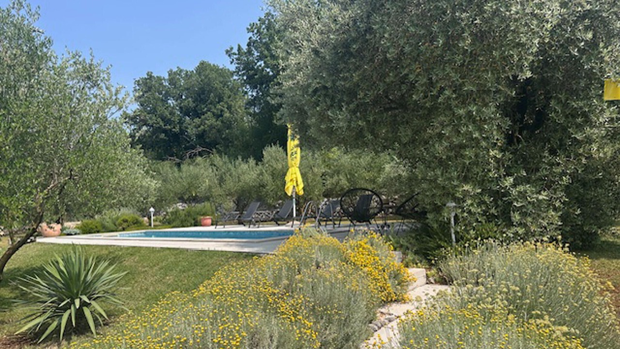 Photo of Others in Imotski