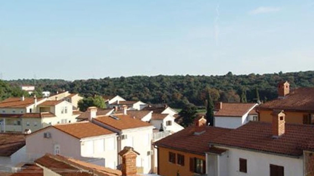 Photo of Others in Vintijan