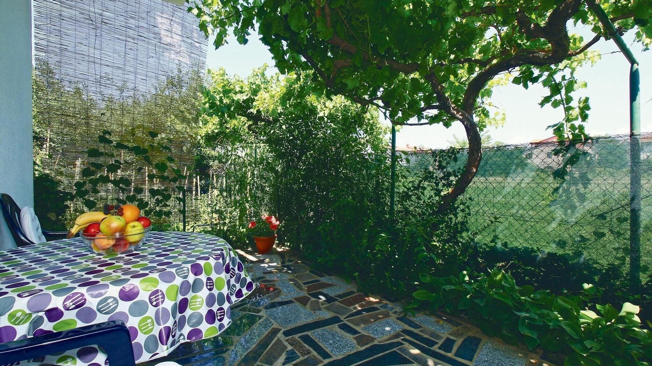 Photo of Others in Umag