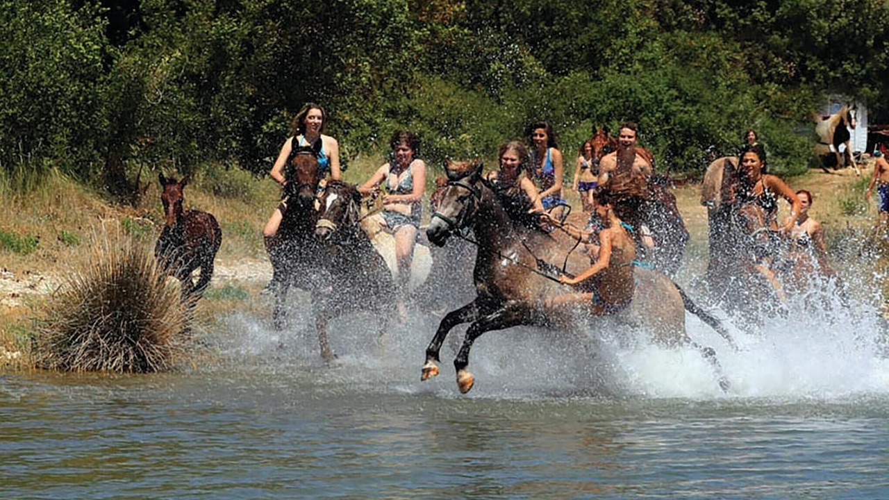 Photo of Others in Manjadvorci