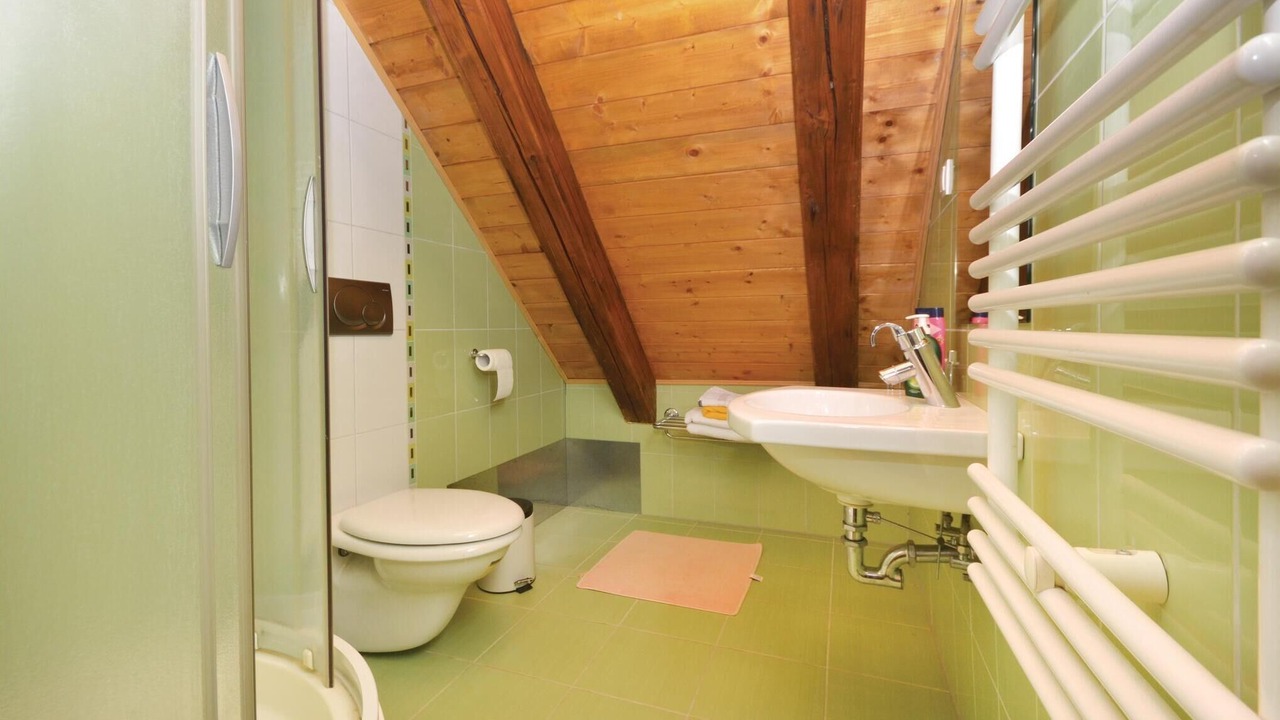 Photo of Bathroom in Breznik Plesivicki