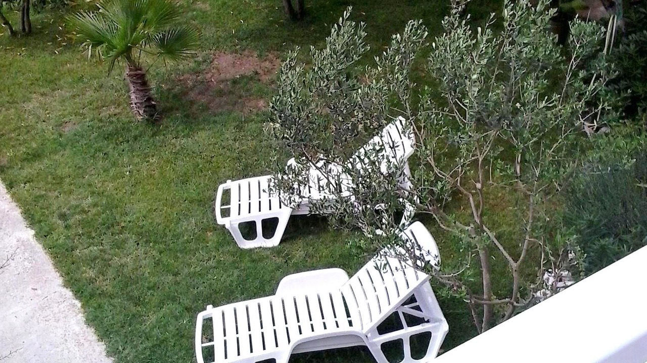 Photo of Outdoor in Blace
