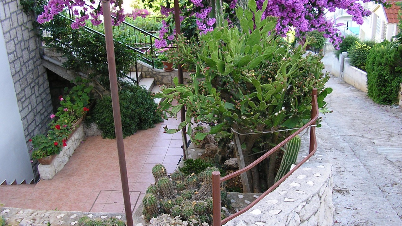 Photo of Outdoor in Okrug Gornji