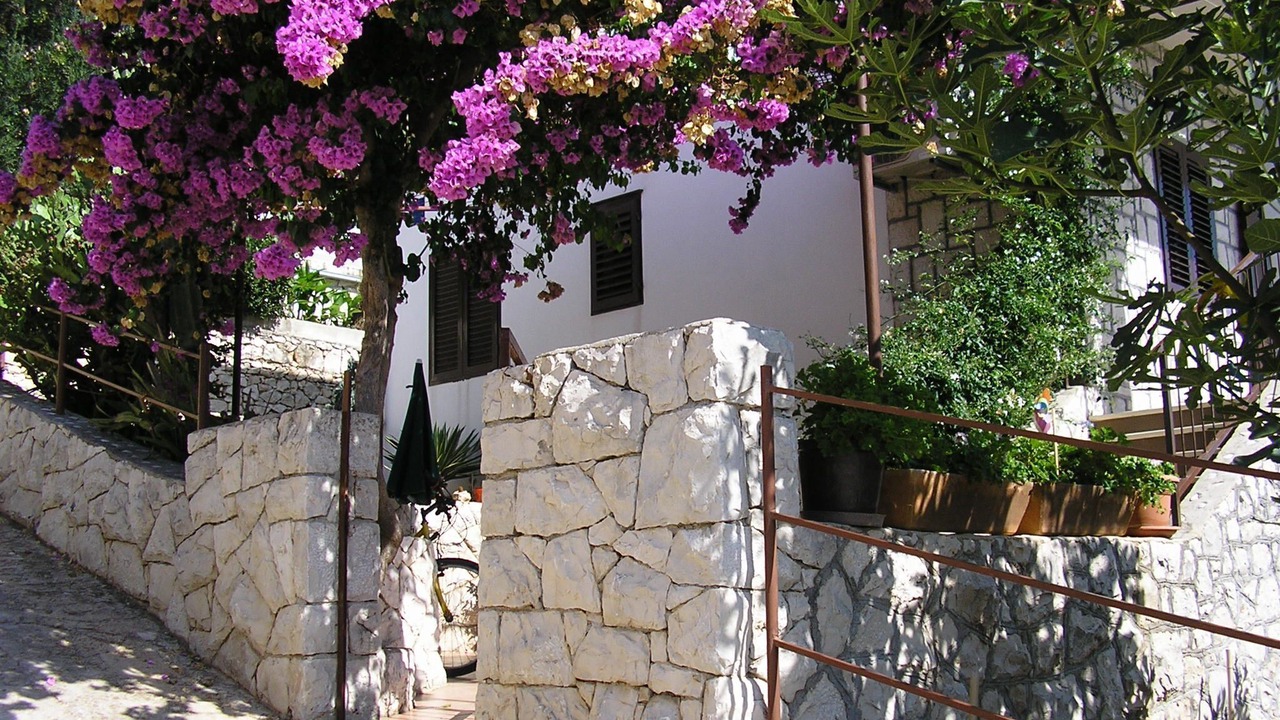 Photo of Outdoor in Okrug Gornji