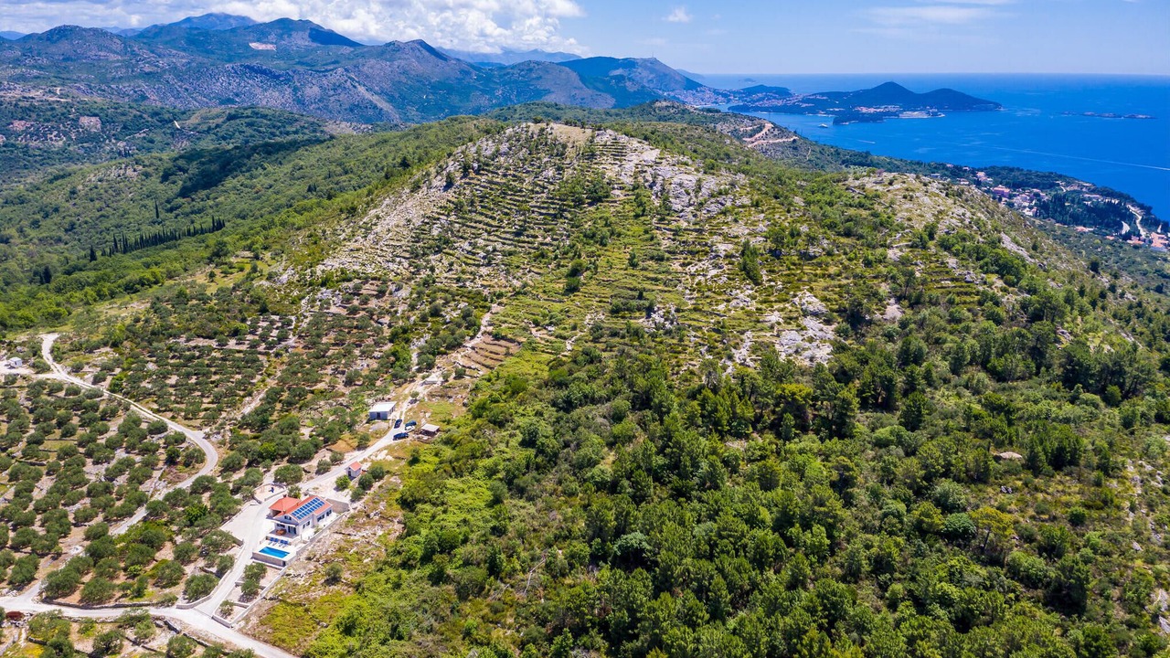 Photo of Others in Dubrovnik