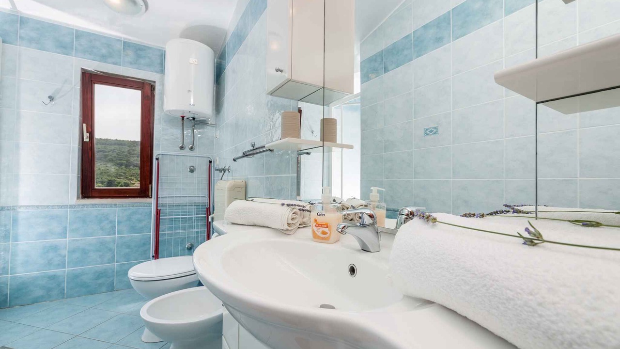 Photo of Bathroom in Bozava