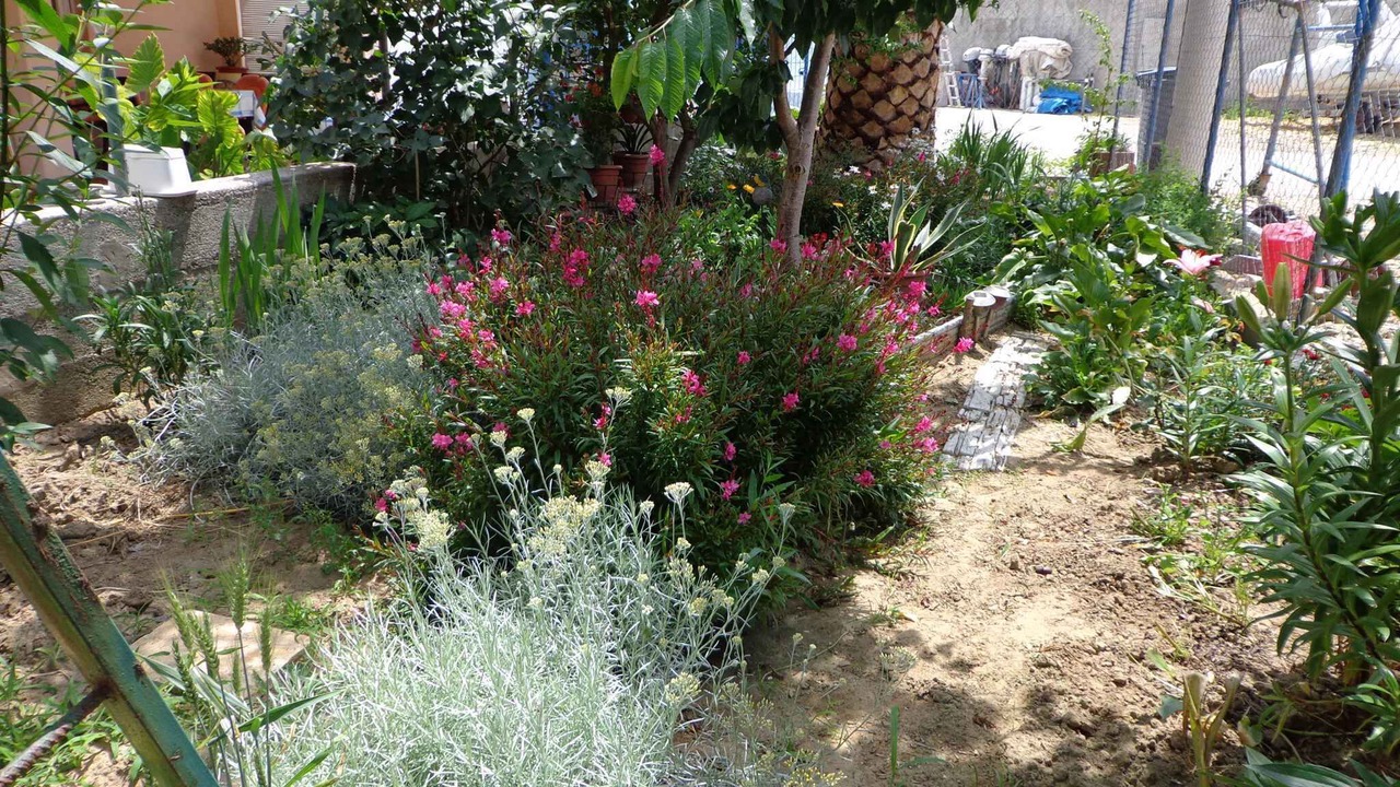 Photo of Outdoor in Mundanije