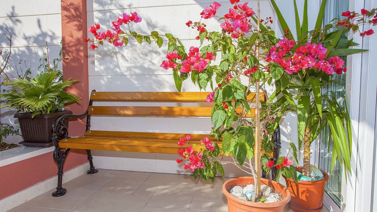 Photo of Outdoor in Podgora