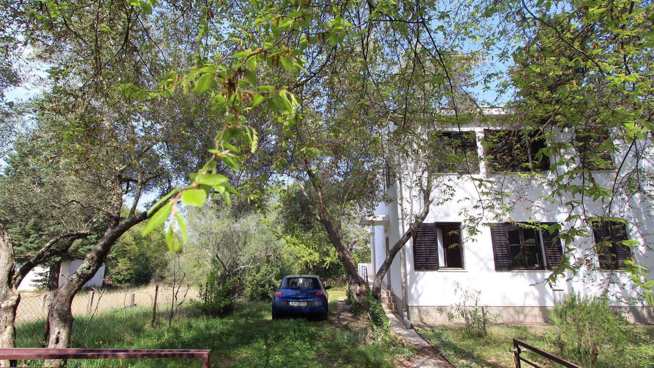 Photo of Others in Bogovici