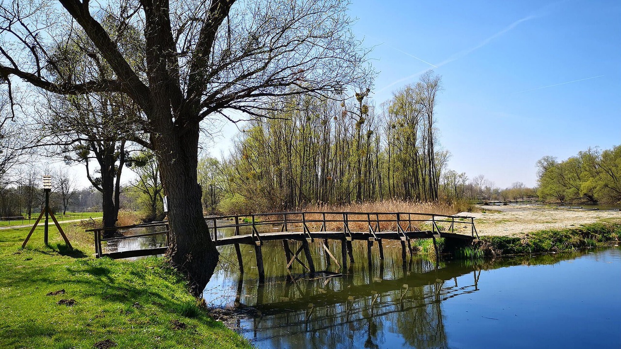 Photo of Others in Strigova