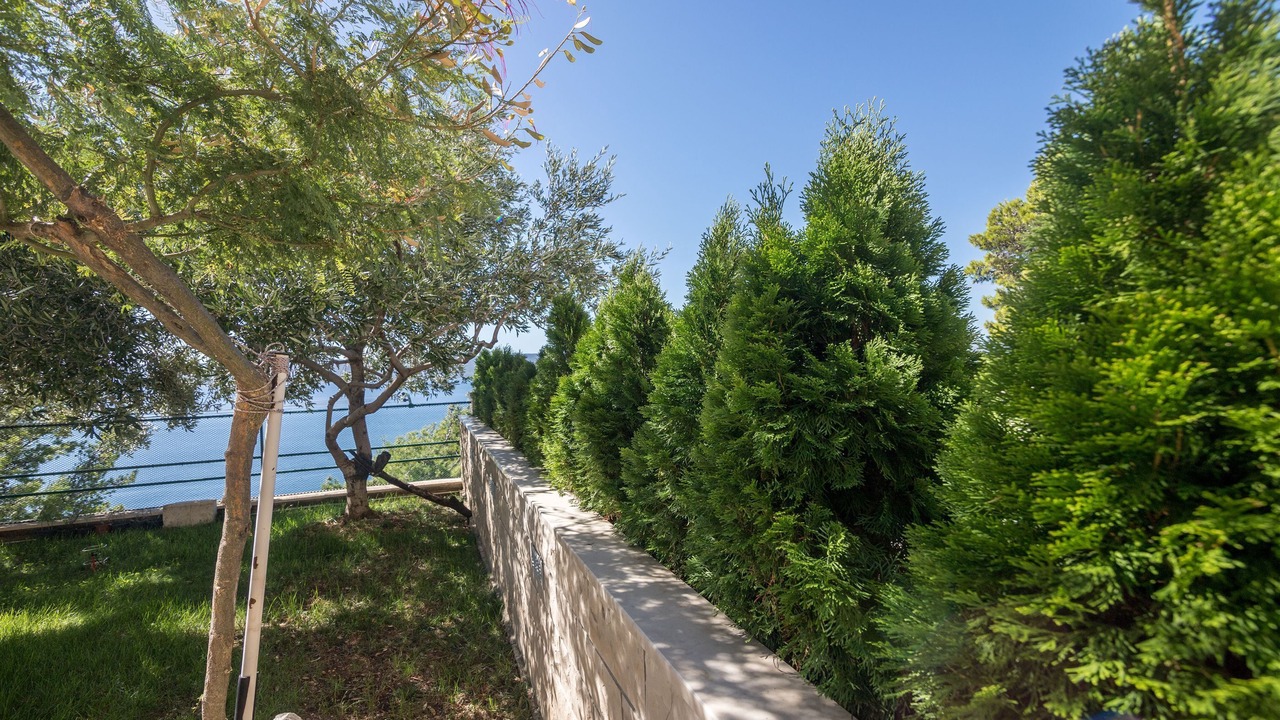 Photo of Outdoor in Mimice