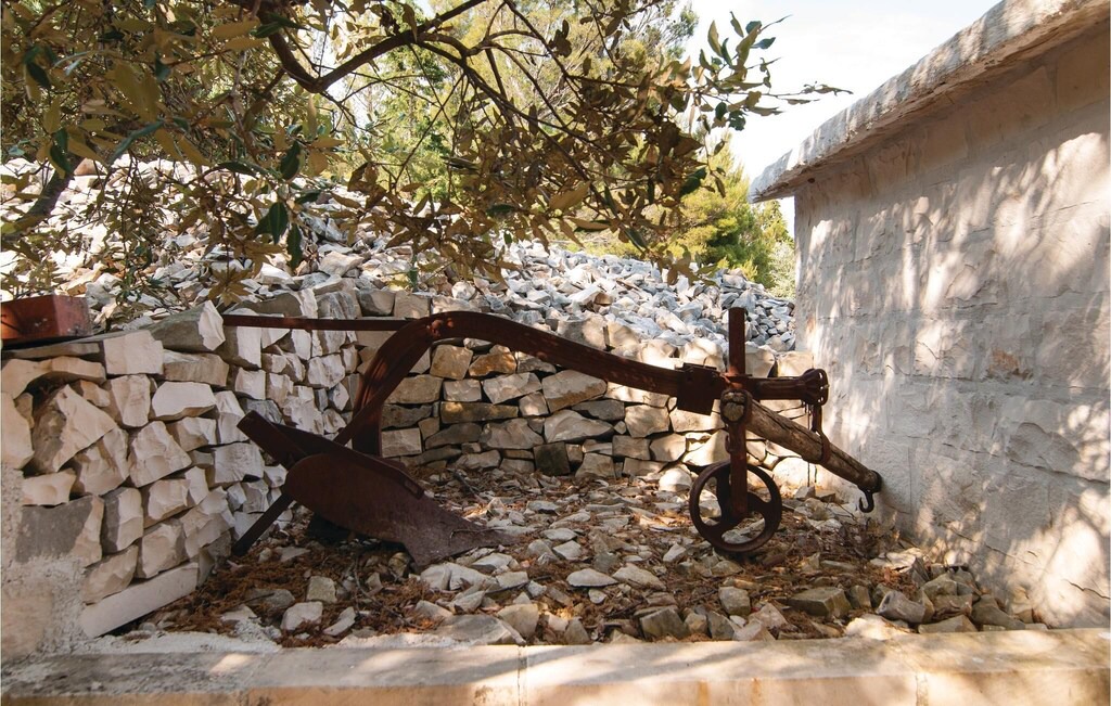 Photo of Others in Pucisca