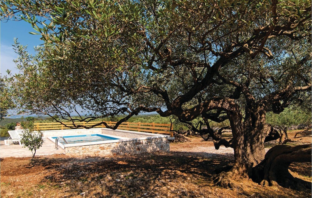 Photo of Buildings in Pucisca