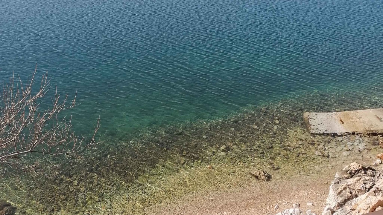 Photo of Others in Baric Draga