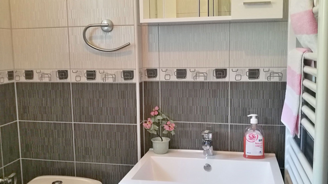 Photo of Bathroom in Poljanak