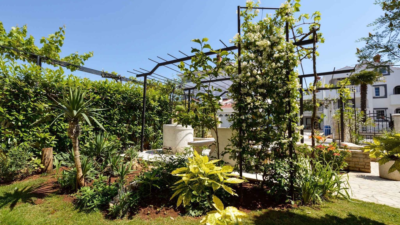 Photo of Outdoor in Pjescana Uvala