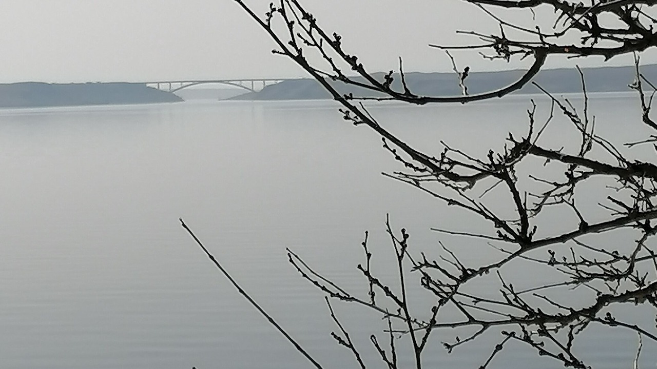 Photo of Others in Baric Draga