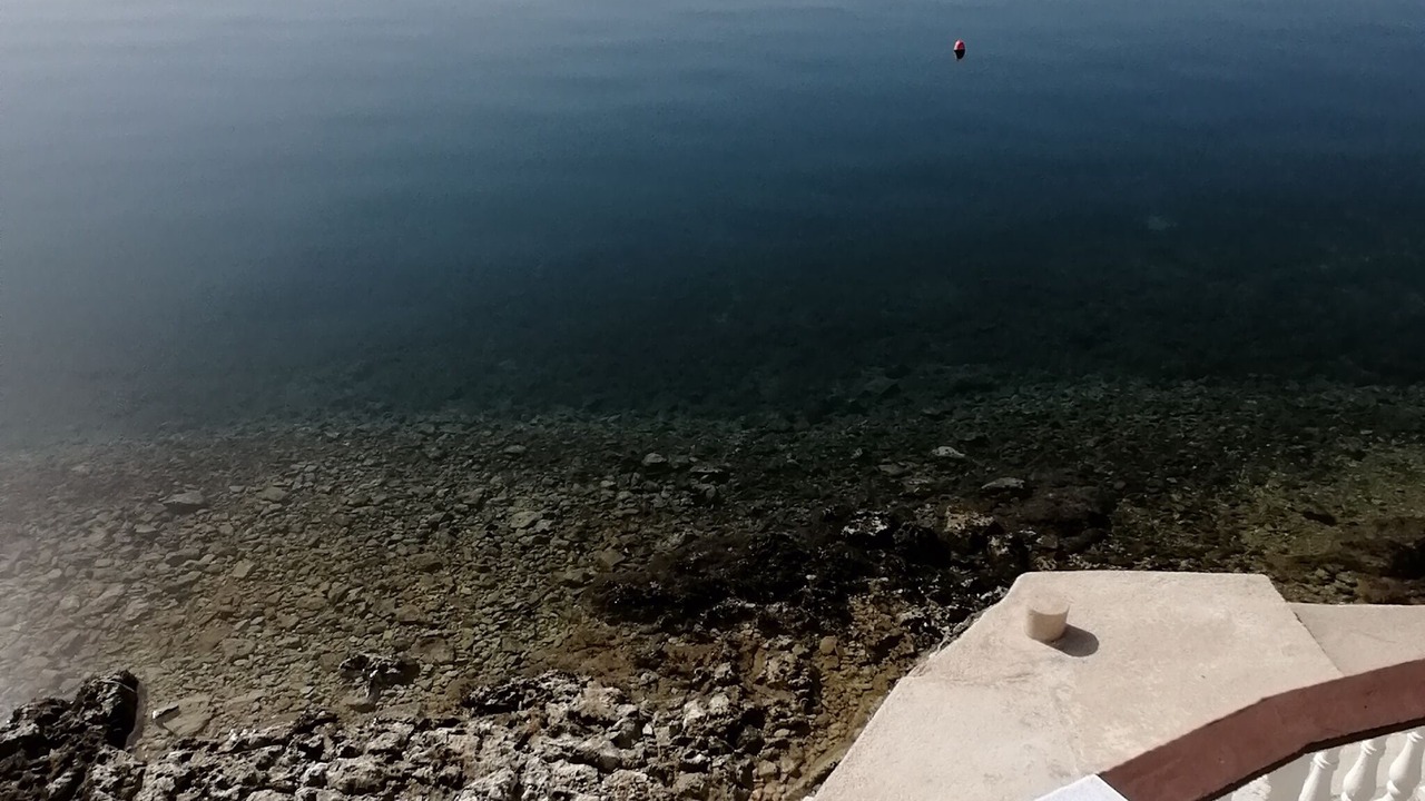 Photo of Outdoor in Baric Draga