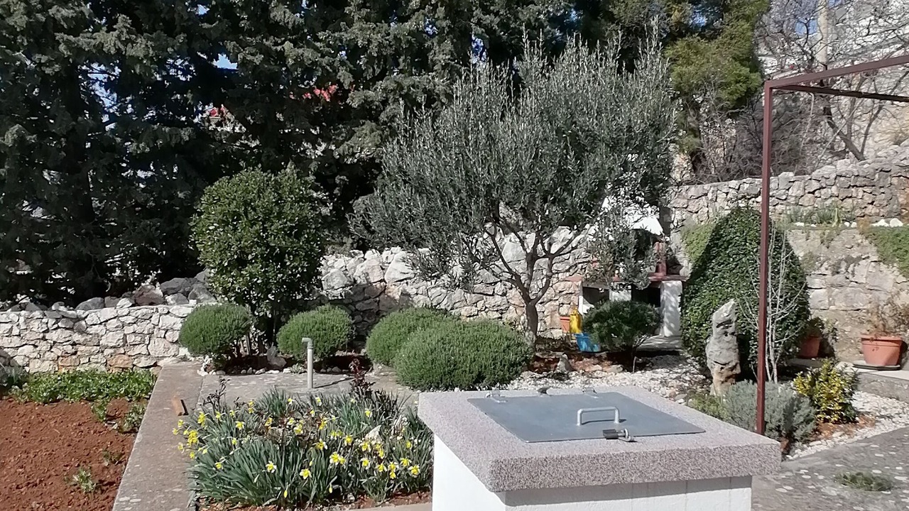 Photo of Outdoor in Baric Draga