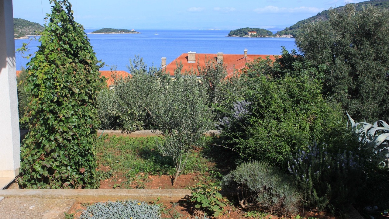 Photo of Outdoor in Vis