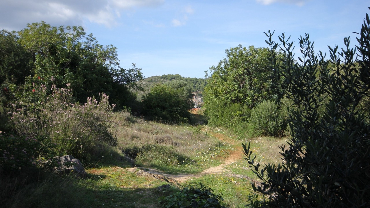 Photo of Others in Vis