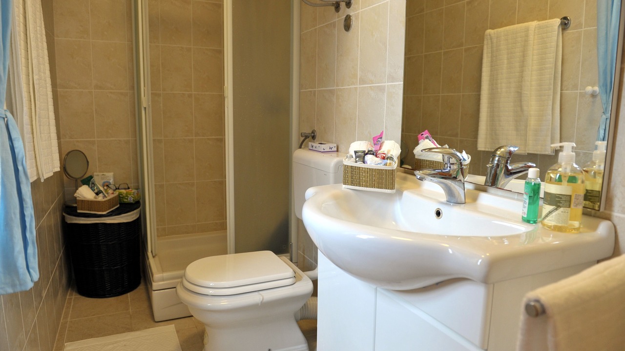 Photo of Bathroom in Dragove