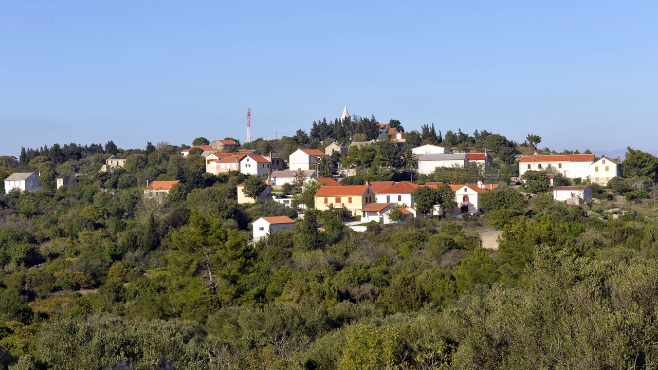 Photo of Others in Dragove