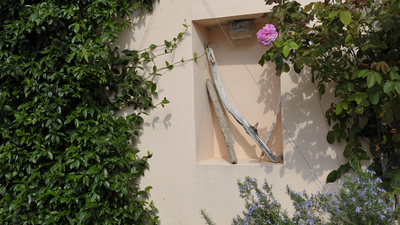 Photo of Outdoor in Dragove