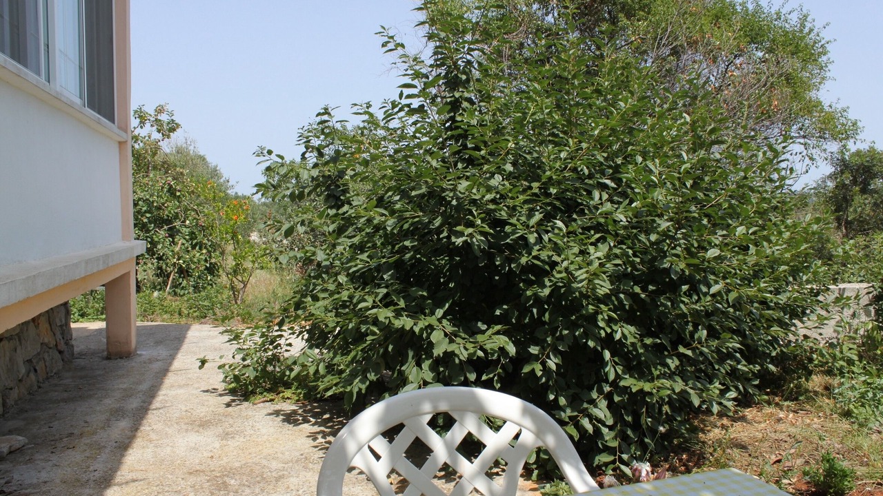 Photo of Others in Bozava