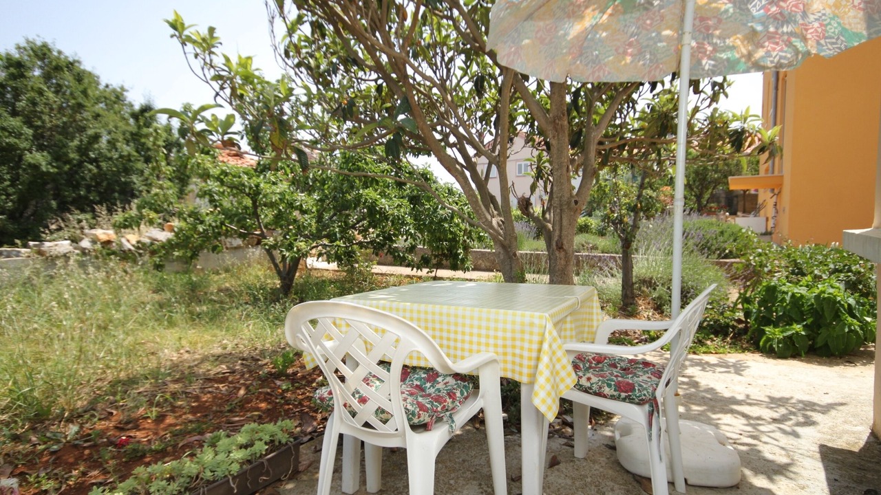 Photo of Others in Bozava