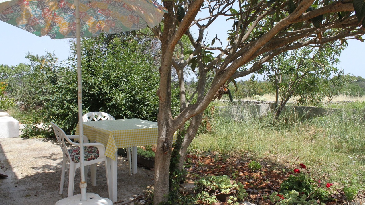 Photo of Others in Bozava