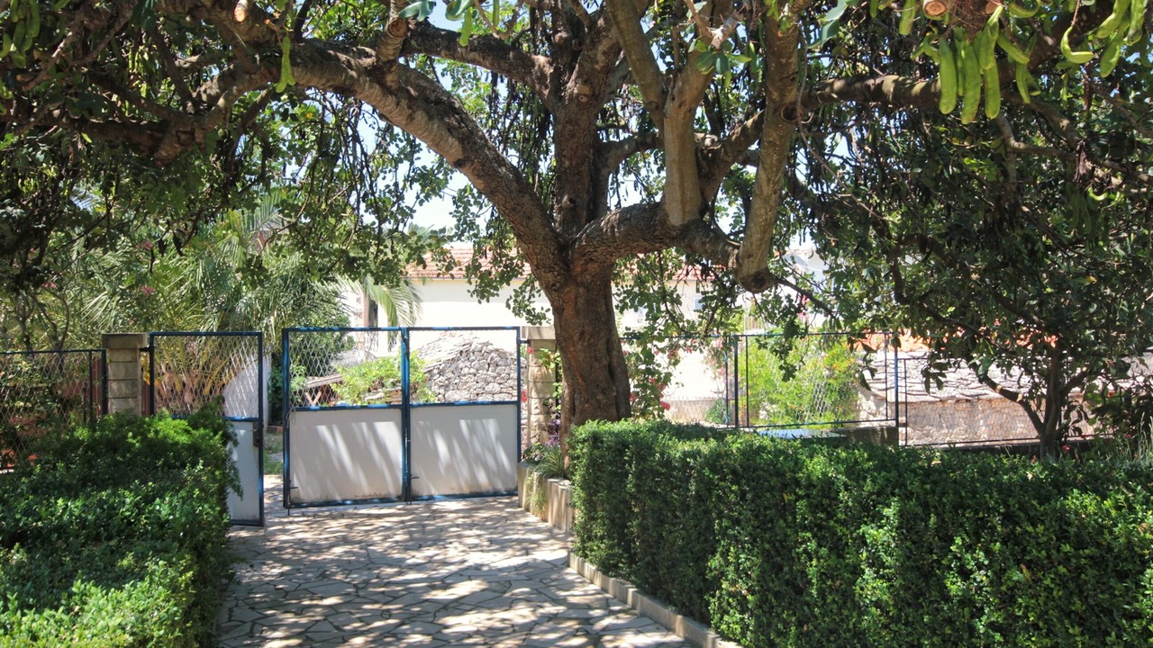 Photo of Outdoor in Loviste