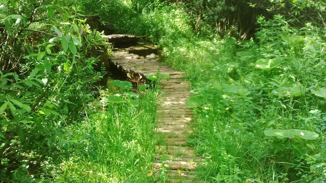 Photo of Others in Rudanovac