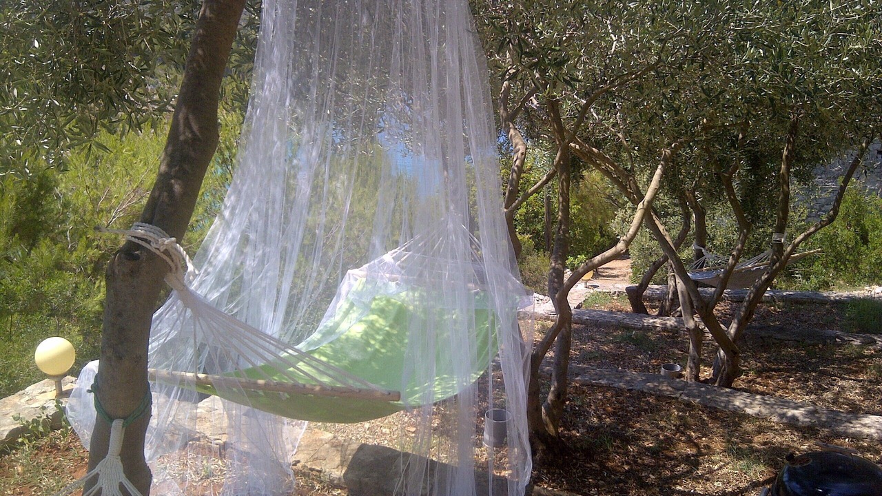 Photo of Outdoor in Hvar