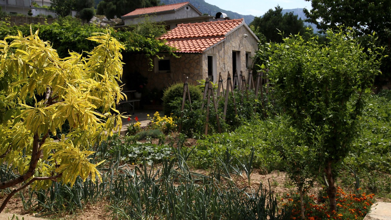 Photo of Outdoor in Kastel Stari