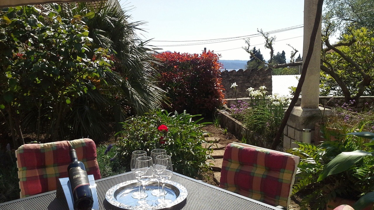 Photo of Outdoor in Trsteno