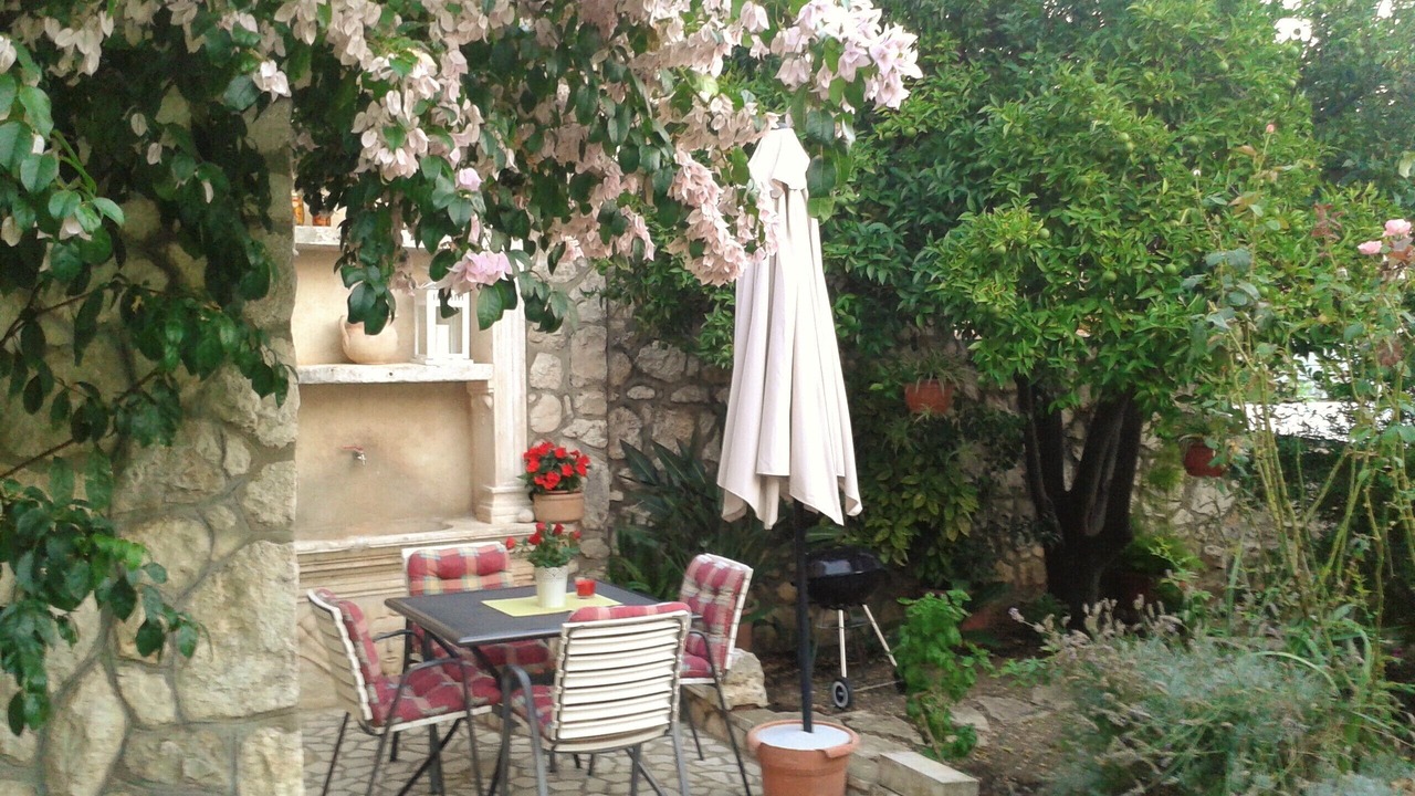 Photo of Outdoor in Trsteno