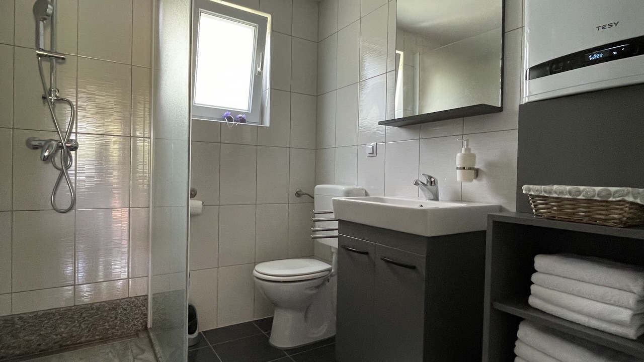 Photo of Bathroom in Seliste Dreznicko