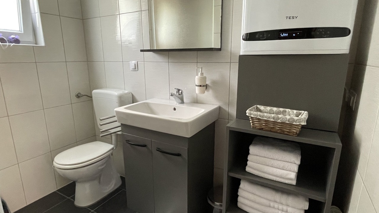 Photo of Bathroom in Seliste Dreznicko