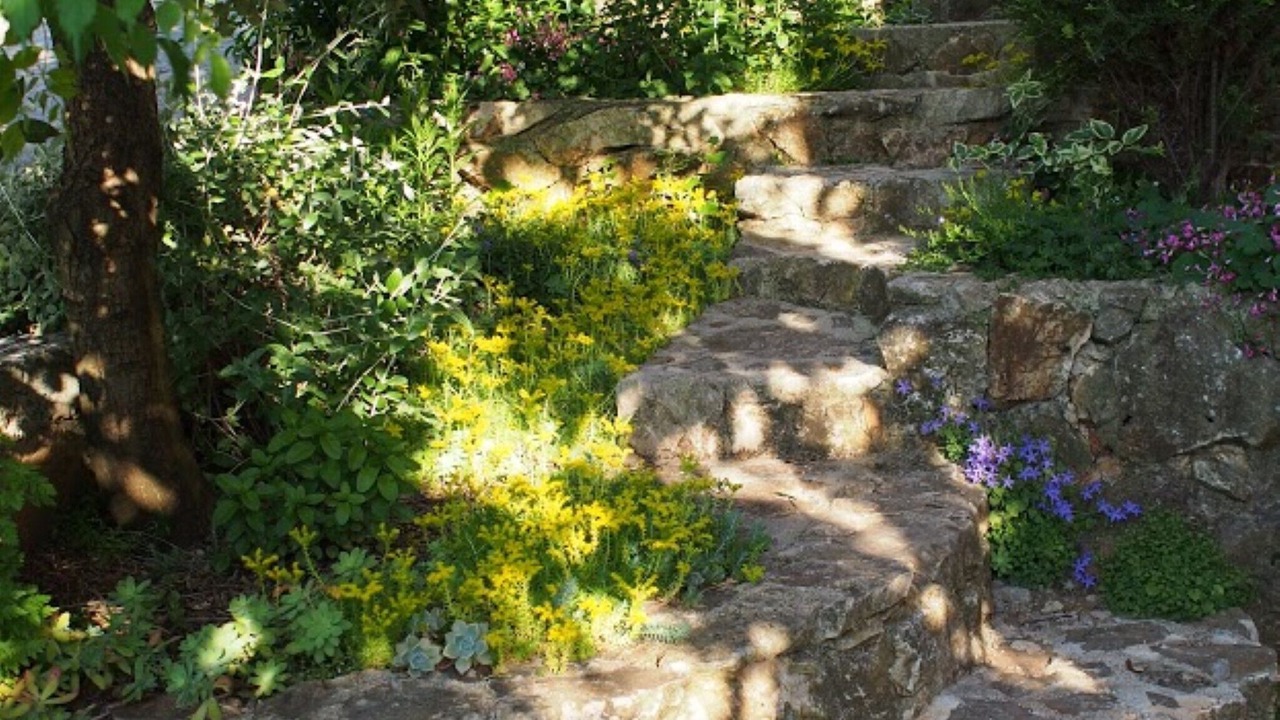 Photo of Outdoor in Vinisce