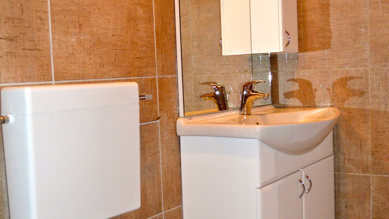 Photo of Bathroom in Lupoglav