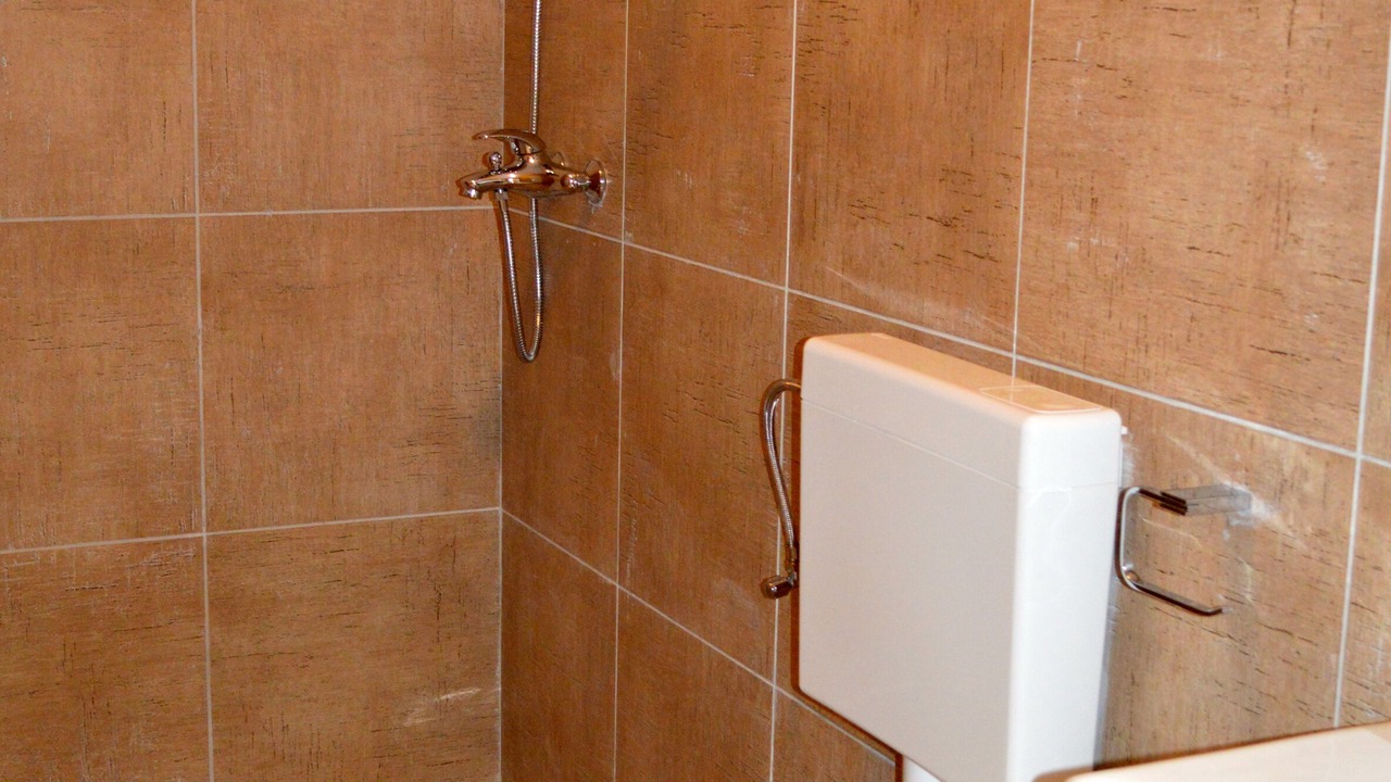 Photo of Bathroom in Lupoglav
